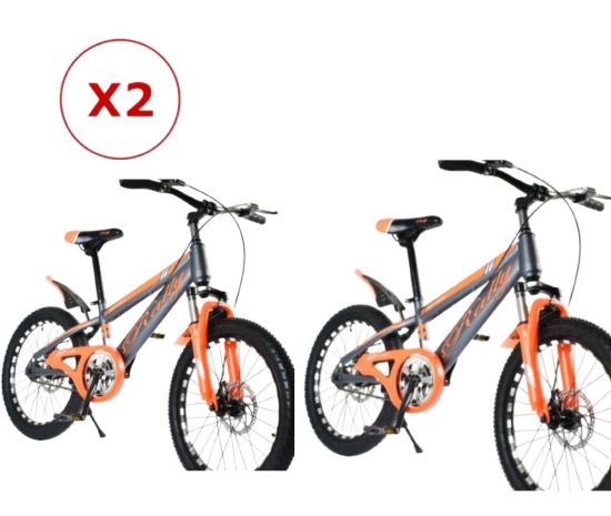 صورة دراجتين مقاس 20